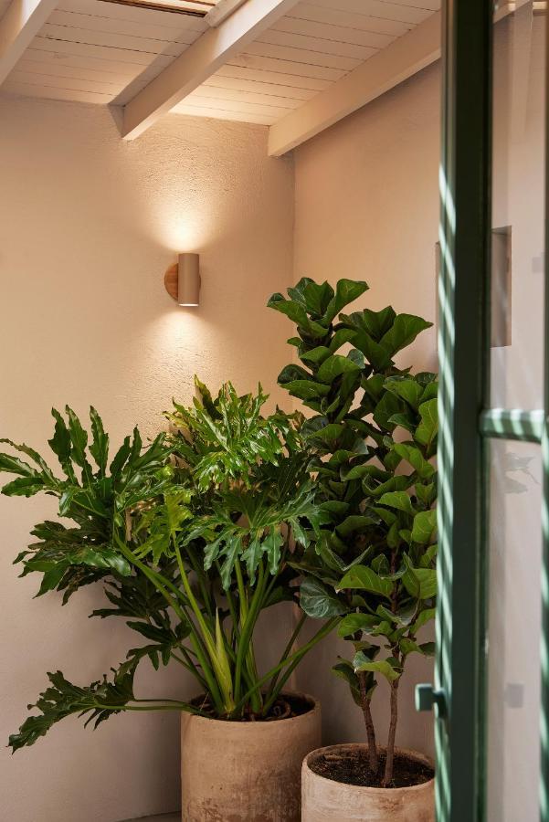 Antipoda Hotel Boutique Medellin Exterior photo